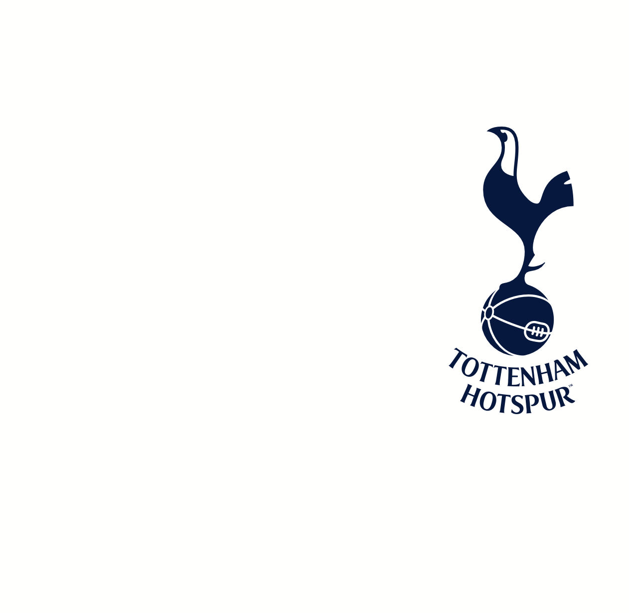 1980s Tottenham Hotspur shirt